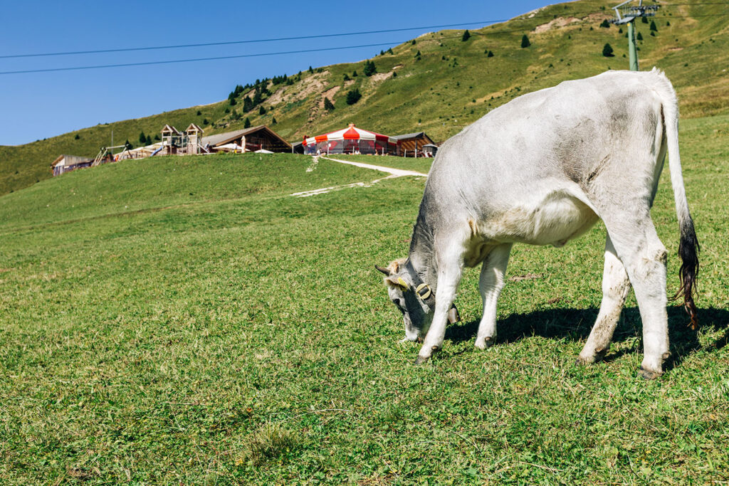 Urlaubsparadies Eggental - Hotel Ganischgerhof in den Dolomiten