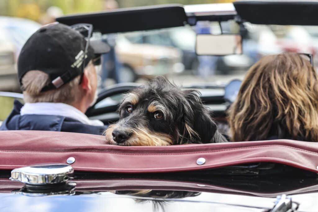 WESTSIDERS_JV_2025_10_09_EHC_Live Reportage-30