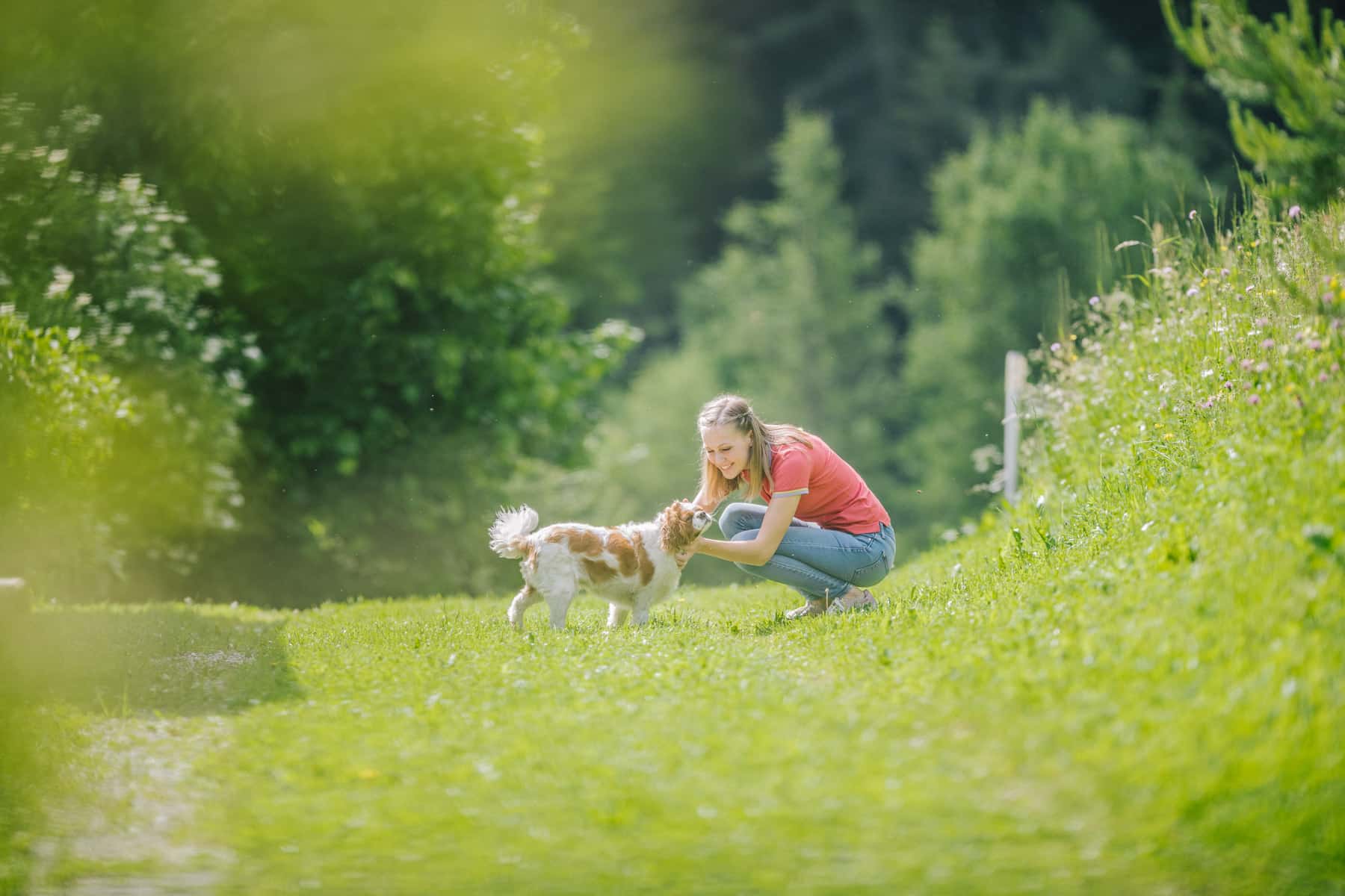 Urlaub mit Hund in den Dolomiten Südtirol im Eggental